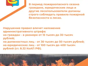 В Павловском округе и еще 19 округах Нижегородской области начитается пожароопасный сезон