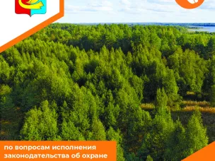 Позвоните на горячую линию