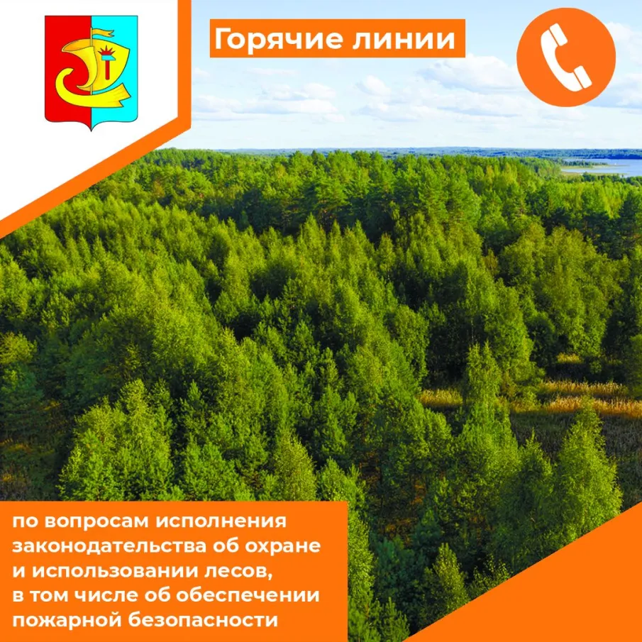 Позвоните на горячую линию