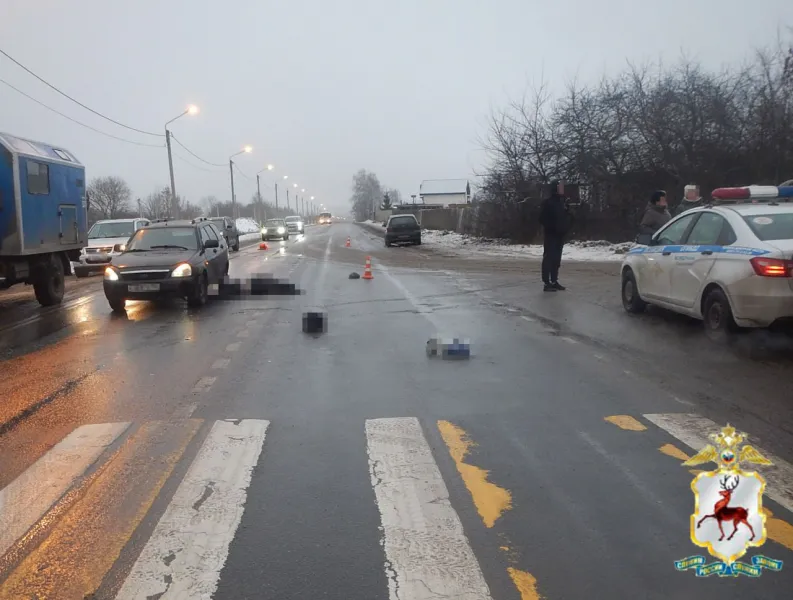 Павловскими полицейскими возбуждено уголовное дело по факту ДТП, в котором погибла женщина-пешеход