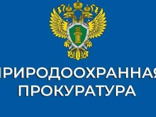 Разъясняет Нижегородская межрайонная природоохранная прокуратура