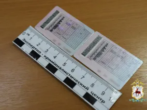 В Нижегородской области за один день полицейские задержали двоих мужчин за использование поддельных водительских удостоверений