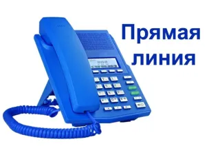В Павлово полицейские проведут прямую телефонную линию по вопросам оказания государственных услуг