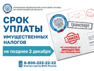 Срок уплаты имущественных налогов не позднее 2 декабря 2024 года
