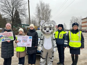 Сотрудники павловской Госавтоинспекции провели профилактическое мероприятие для дошкольников «Пристегни самое дорогое!»