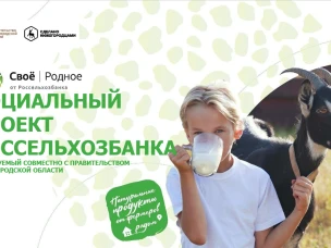 Маркетплейс «Свое Родное»