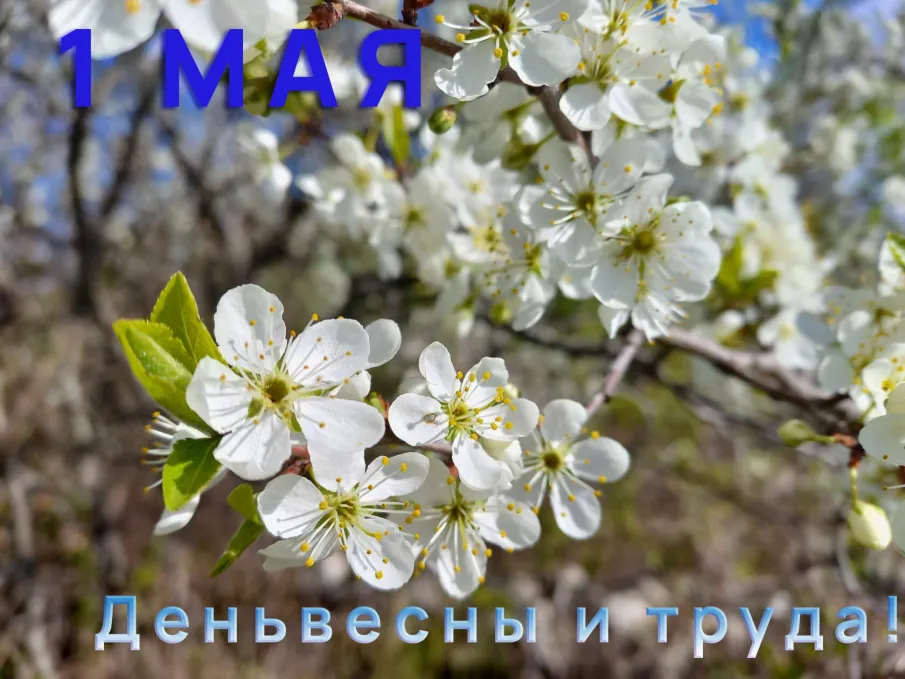 Дорогие земляки! Примите самые тёплые поздравления с 1 мая - Днём весны и труда!