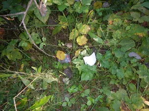 В Павловском округе полицейские задержали наркосбытчика в момент передачи синтетического зелья потенциальному потребителю