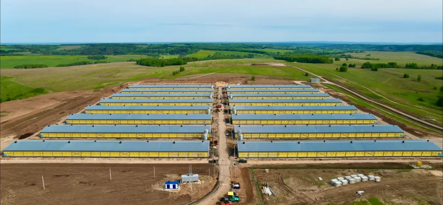 На 20% увеличит уровень самообеспеченности Нижегородской области качественным мясом птицы новая бройлерная площадка Птицефабрики «Павловская».