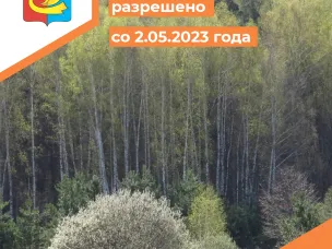 Посещение лесов разрешено