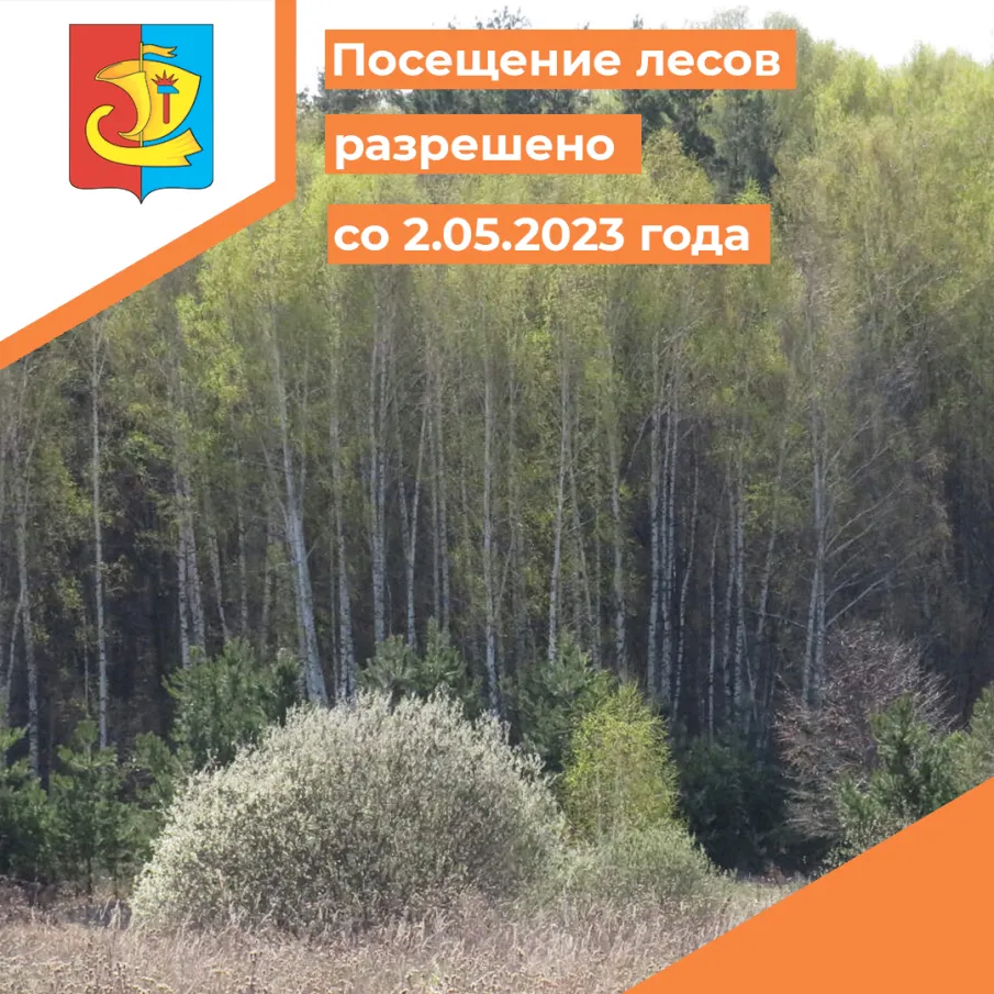 Посещение лесов разрешено