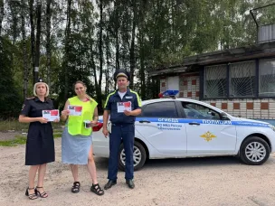 Павловские Госавтоинспекторы провели акцию «Сделай паузу»