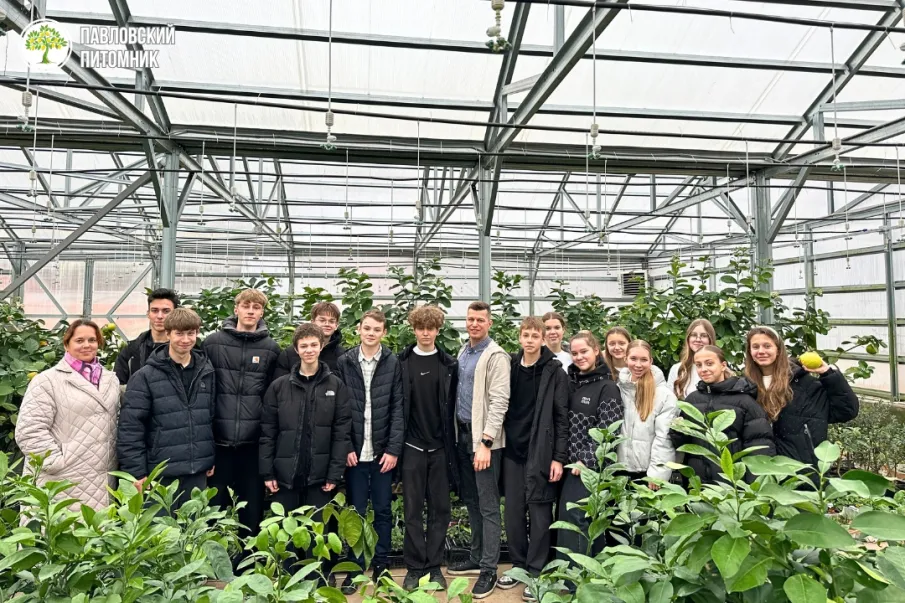 Более 21 600 павловчан посетили различные культурные мероприятия в 2025 году по «Пушкинской карте»