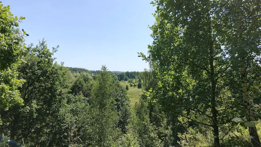 Нижегородская межрайонная природоохранная прокуратура разъясняет
