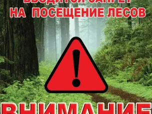 О запрете посещения лесов в Павловском муниципальном округе