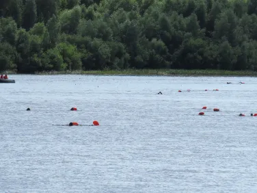 Массовый заплыв "Окские косы - 2024"