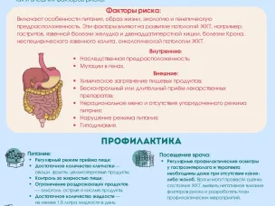 Позаботьтесь о своем желудке