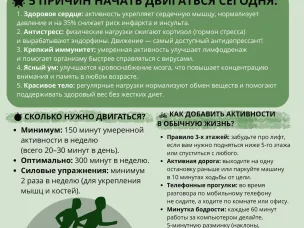 Почему физическая активность необходима каждому